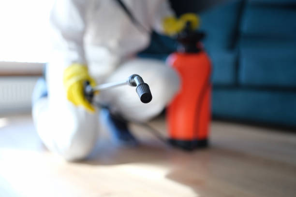 Best Real Estate Mold Inspection  in Campbell, FL